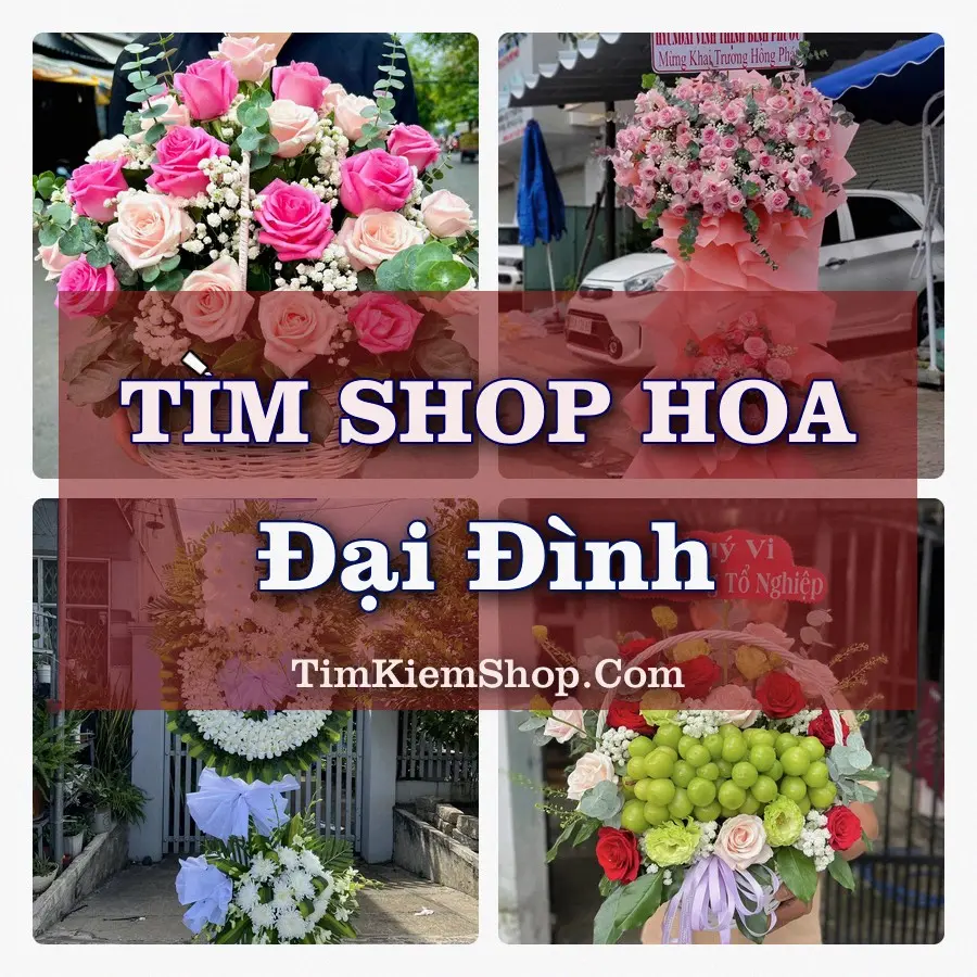 Tìm Shop Hoa Tươi tại Đại Đình, Tỉnh Phú Thọ