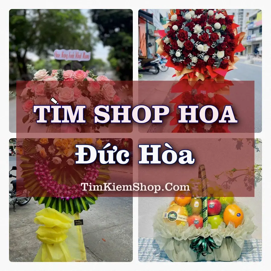 Tìm Shop Hoa Tươi tại Đức Hòa (Cũ)