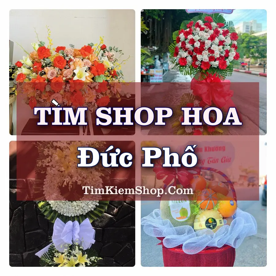 Tìm Shop Hoa Tươi tại Đức Phổ (Cũ)