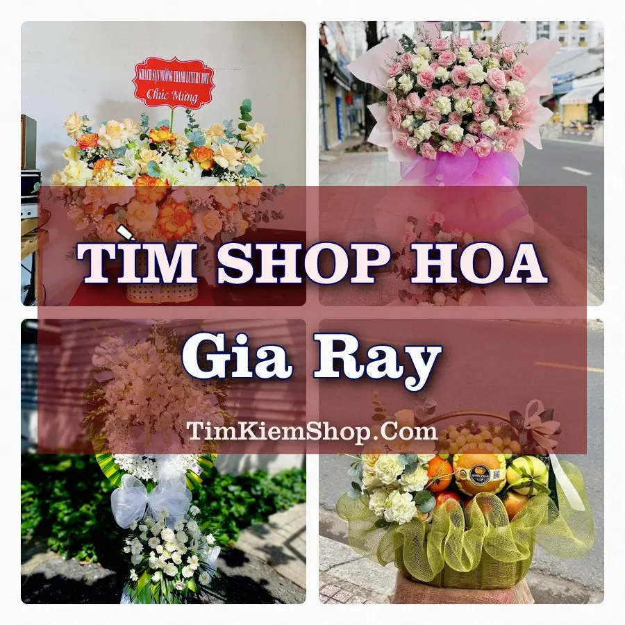 Tìm Shop Hoa Tươi tại Gia Ray (Cũ)
