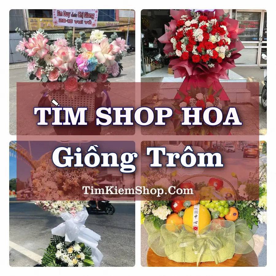 Tìm Shop Hoa Tươi tại Giồng Trôm (Cũ)