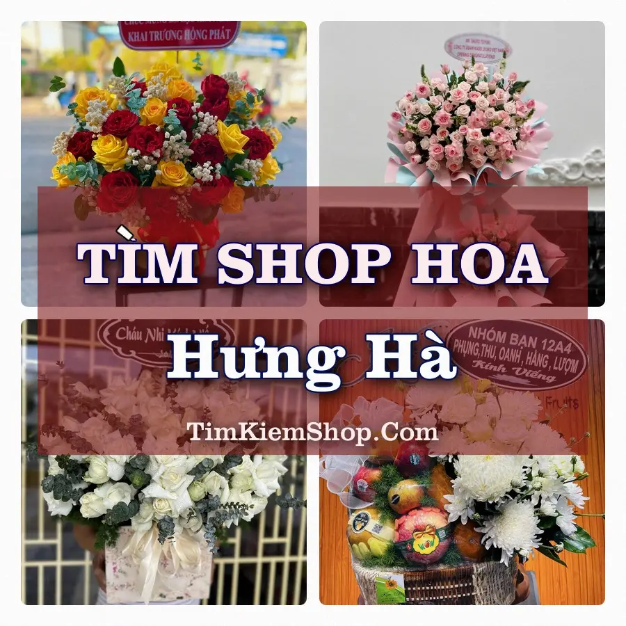 Tìm Shop Hoa Tươi tại Hưng Hà, Tỉnh Hưng Yên