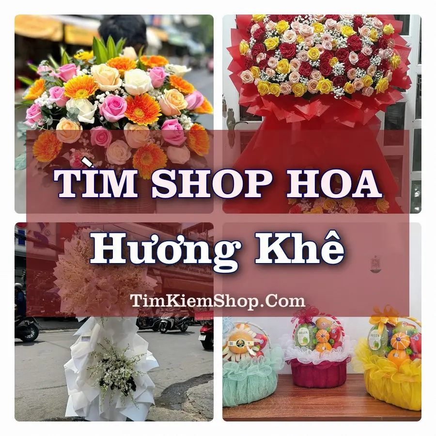 Tìm Shop Hoa Tươi tại Hương Khê, Tỉnh Hà Tĩnh