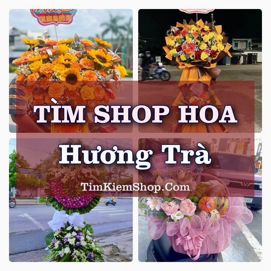 Tìm Shop Hoa Tươi tại Hương Trà (Cũ)