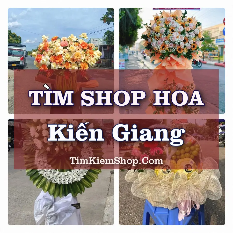 Tìm Shop Hoa Tươi tại Kiến Giang, Tỉnh Quảng Trị