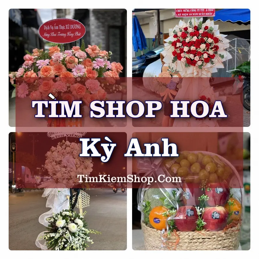 Tìm Shop Hoa Tươi tại Kỳ Anh (Cũ)