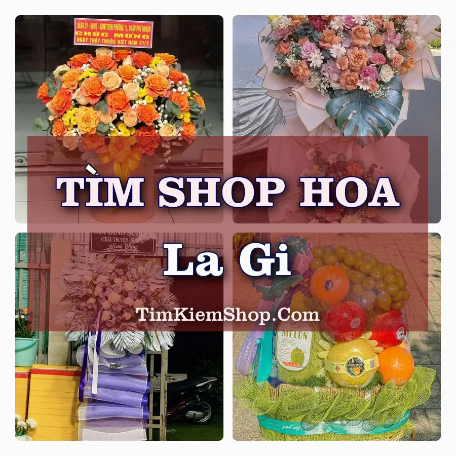 Tìm Shop Hoa Tươi tại La Gi (Cũ)