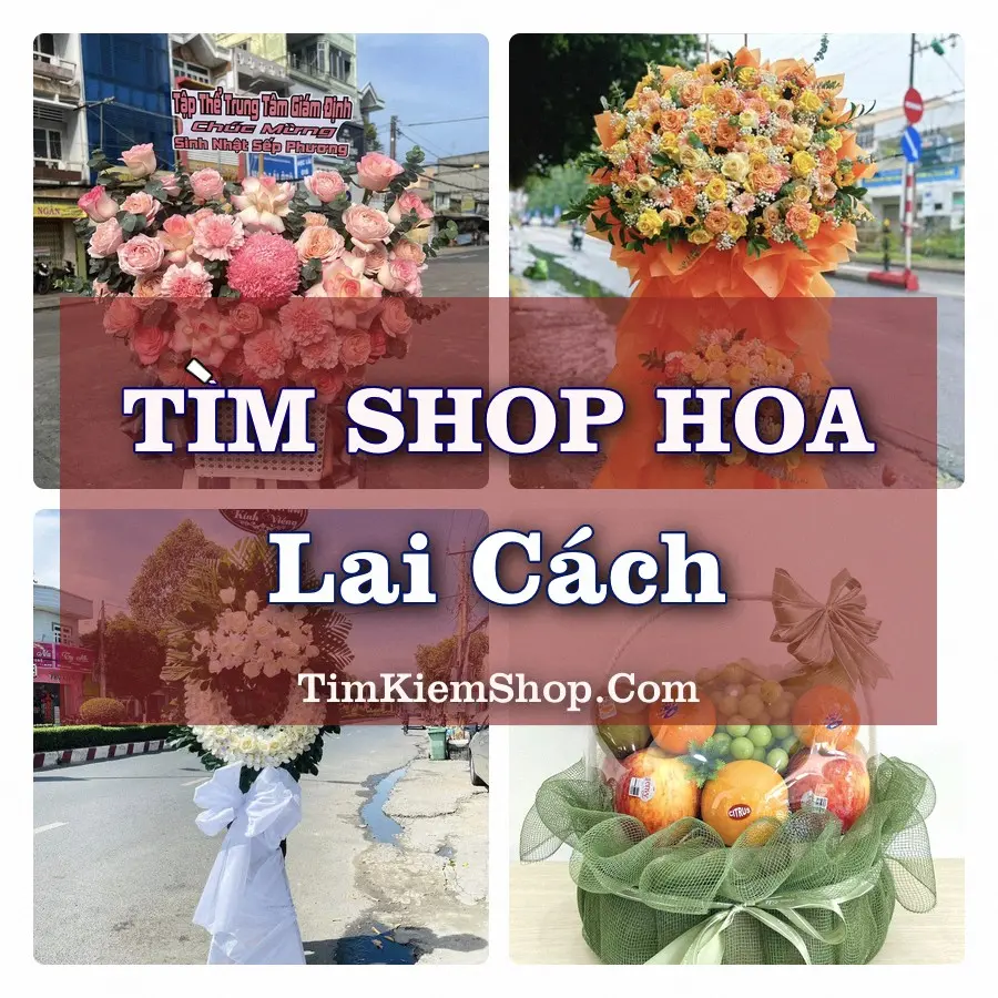 Tìm Shop Hoa Tươi tại Lai Cách, Thành phố Hải Phòng