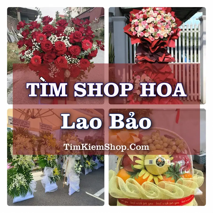 Tìm Shop Hoa Tươi tại Lao Bảo, Tỉnh Quảng Trị