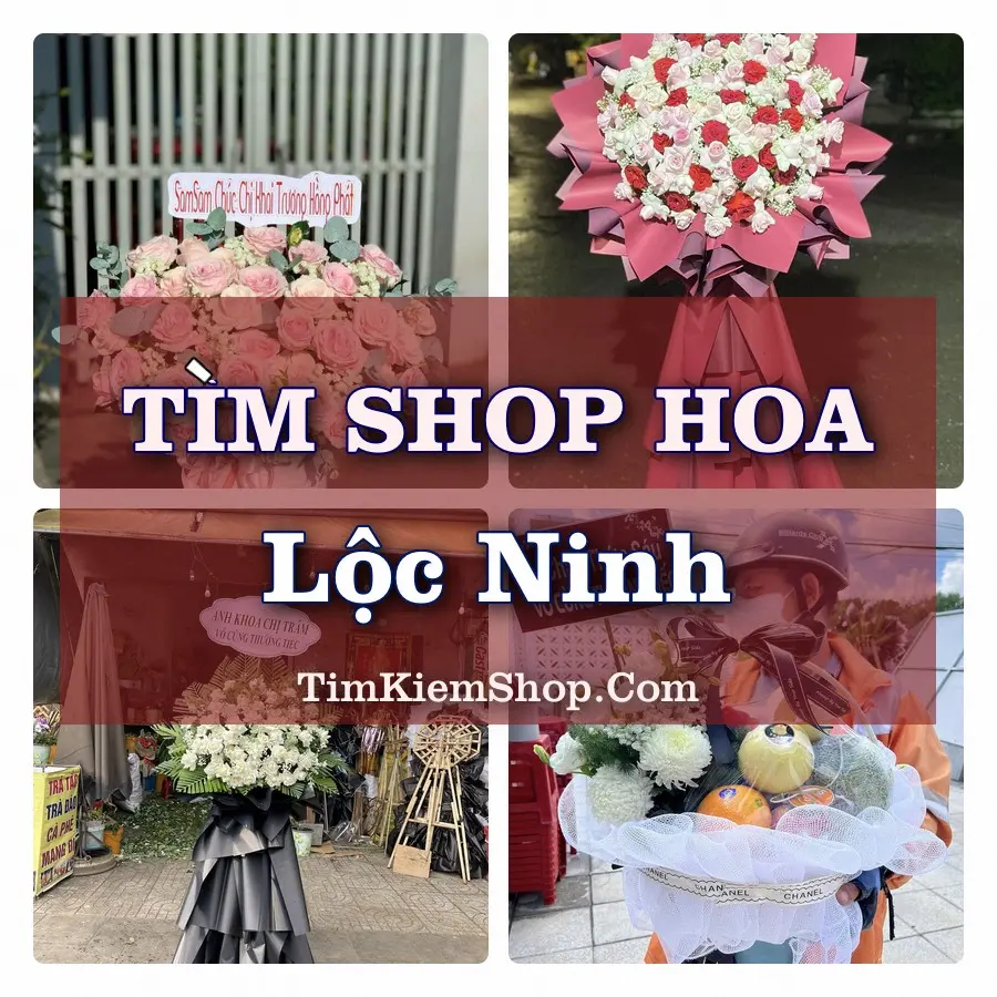 Tìm Shop Hoa Tươi tại Lộc Ninh (Cũ)