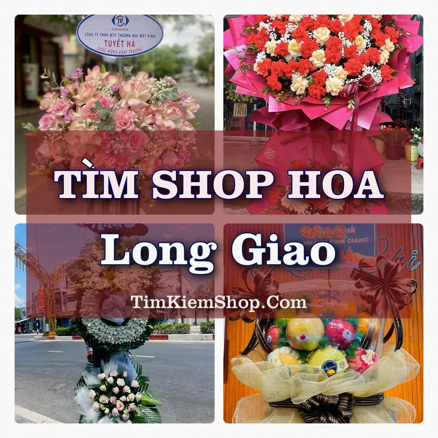 Tìm Shop Hoa Tươi tại Long Giao (Cũ)