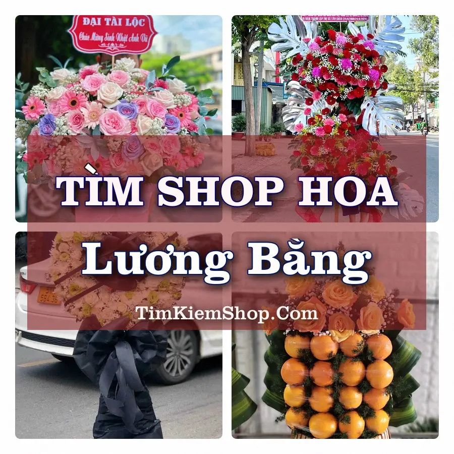 Tìm Shop Hoa Tươi tại Lương Bằng, Tỉnh Hưng Yên