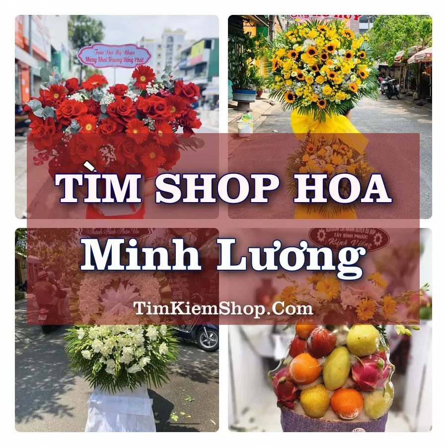 Tìm Shop Hoa Tươi tại Minh Lương (Cũ)