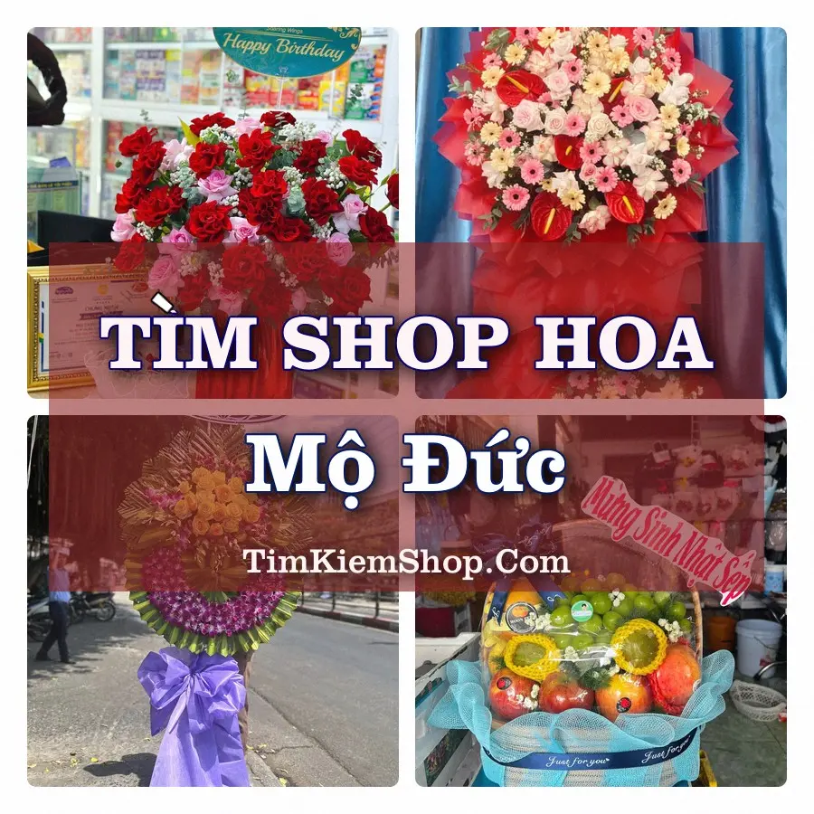 Tìm Shop Hoa Tươi tại Mộ Đức, Tỉnh Quảng Ngãi