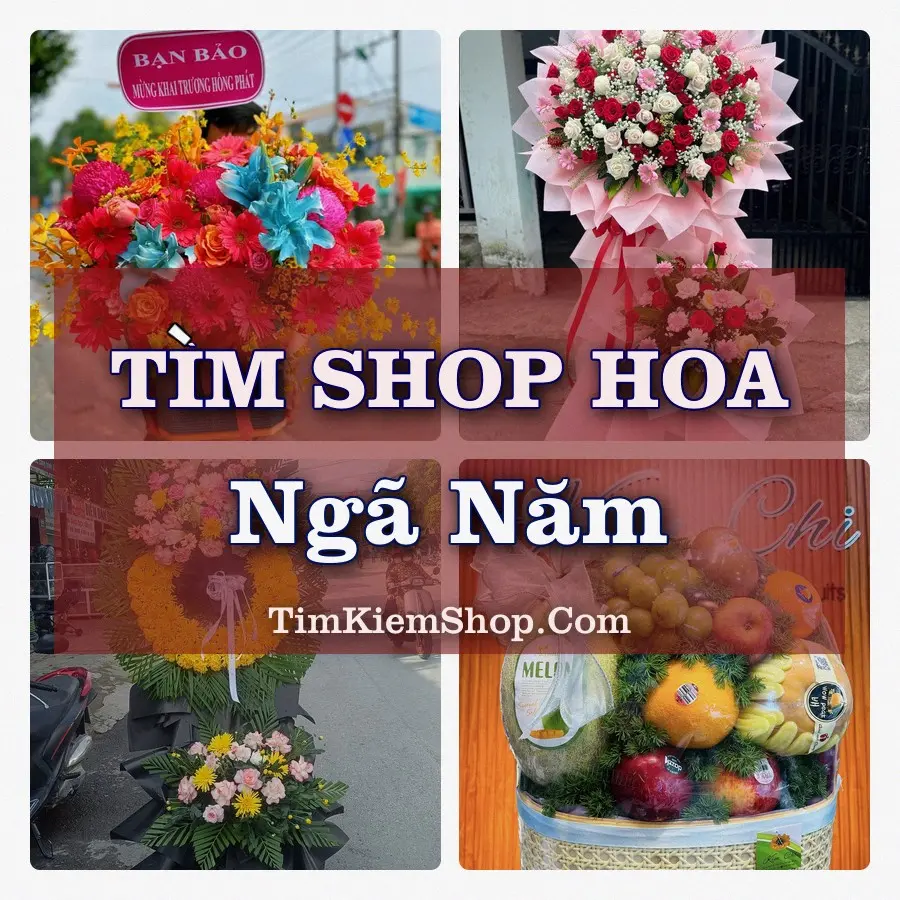 Tìm Shop Hoa Tươi tại Ngã Năm (Cũ)