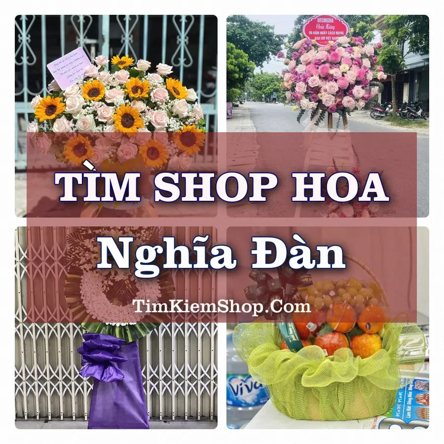 Tìm Shop Hoa Tươi tại Nghĩa Đàn, Tỉnh Nghệ An