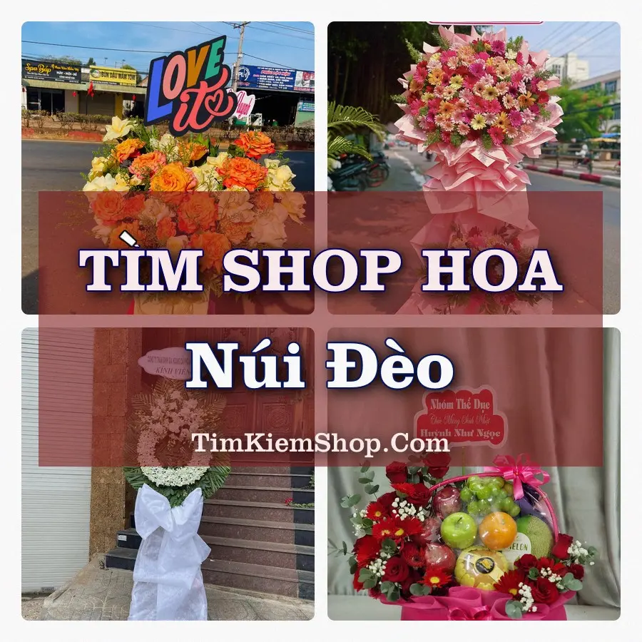 Tìm Shop Hoa Tươi tại Núi Đèo, Thành phố Hải Phòng