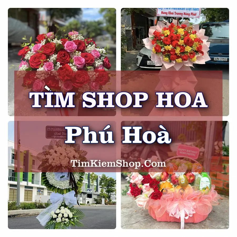 Tìm Shop Hoa Tươi tại Phú Hoà, Tỉnh Đắk Lắk
