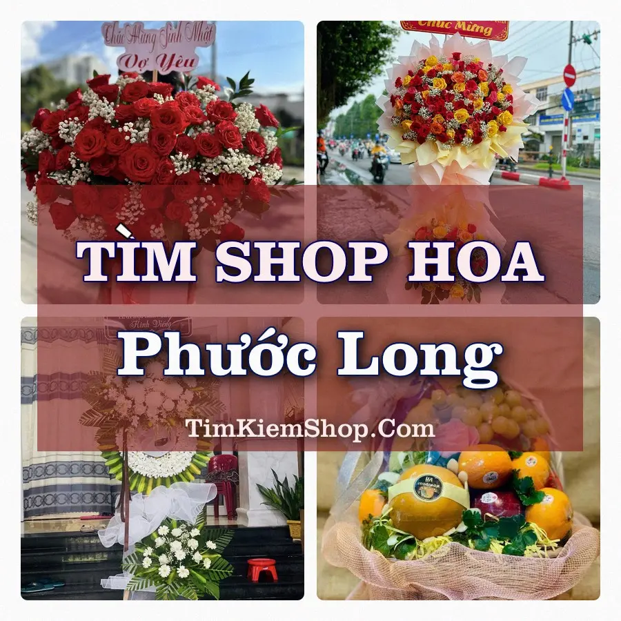 Tìm Shop Hoa Tươi tại Phước Long (Cũ)
