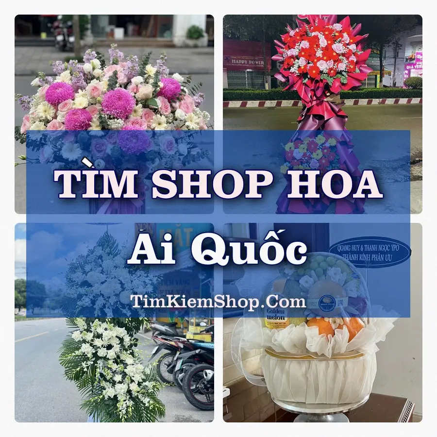 Tìm Shop Hoa Tươi Tại Phường Ái Quốc Hải Phòng