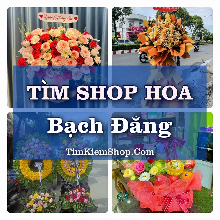 Tìm Shop Hoa Tươi Tại Phường Bạch Đằng Hải Phòng