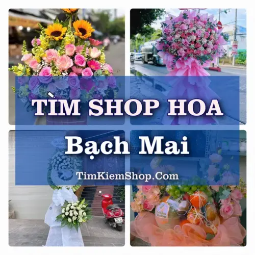 Tìm Shop Hoa Tươi Tại Phường Bạch Mai Hà Nội