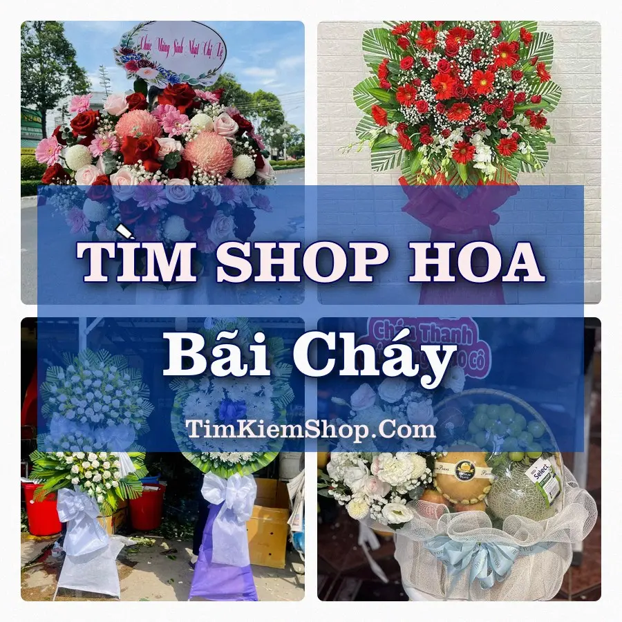 Tìm Shop Hoa Tươi Tại Phường Bãi Cháy Quảng Ninh