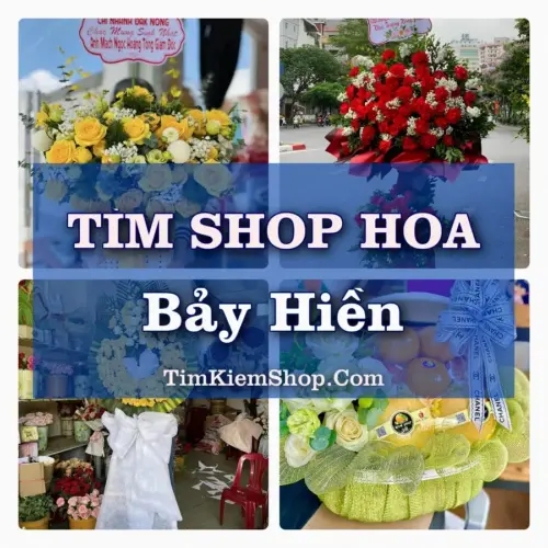 Tìm Shop Hoa Tươi Tại Phường Bảy Hiền TP.HCM
