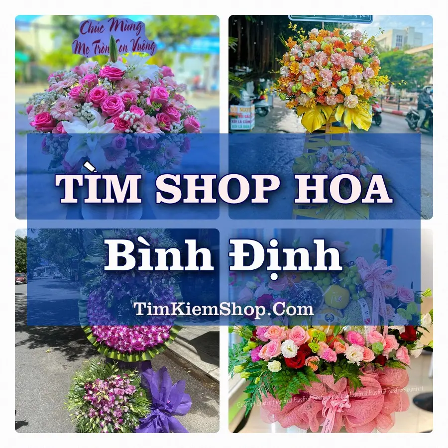 Tìm Shop Hoa Tươi Tại Phường Bình Định Gia Lai