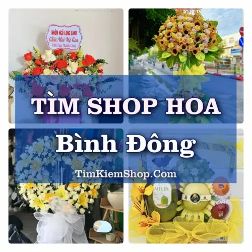 Tìm Shop Hoa Tươi Tại Phường Bình Đông TP.HCM