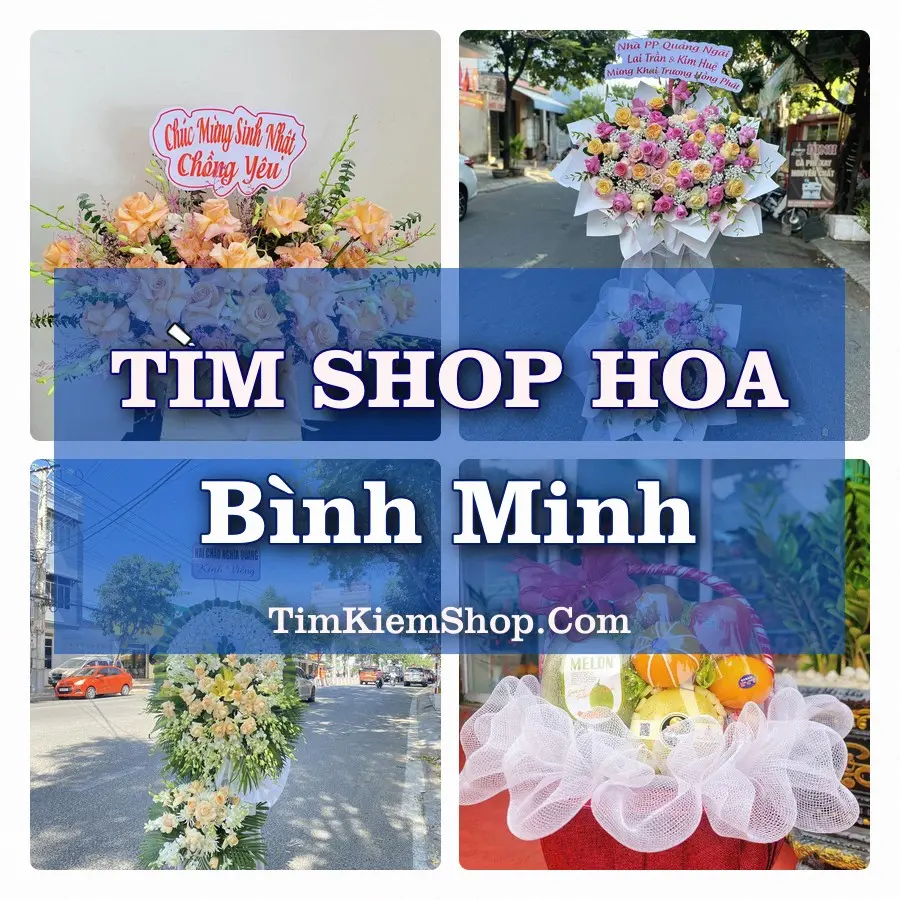 Tìm Shop Hoa Tươi Tại Phường Bình Minh Tây Ninh