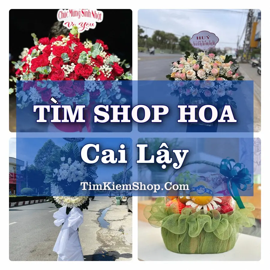Tìm Shop Hoa Tươi Tại Phường Cai Lậy Đồng Tháp