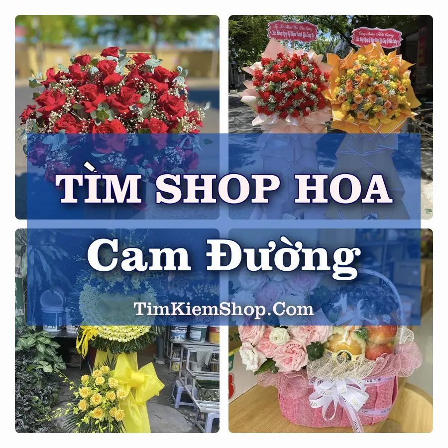 Tìm Shop Hoa Tươi Tại Phường Cam Đường Lào Cai