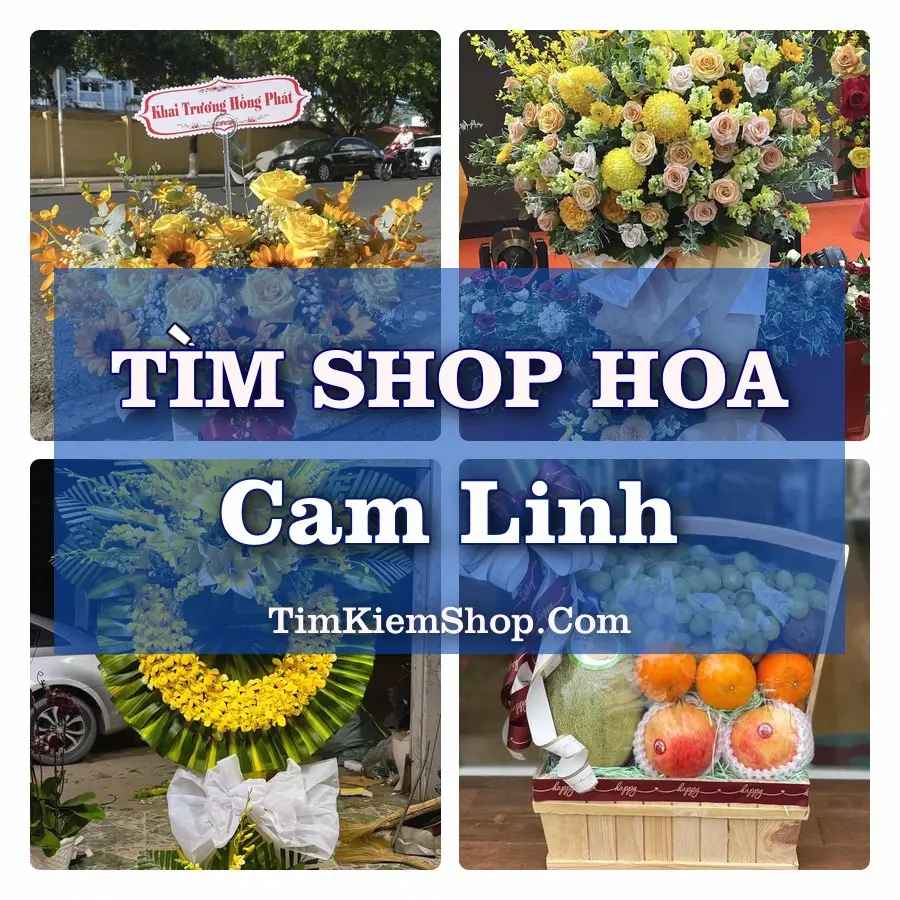 Tìm Shop Hoa Tươi Tại Phường Cam Linh Khánh Hòa