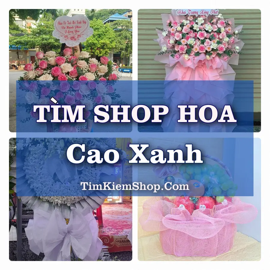 Tìm Shop Hoa Tươi Tại Phường Cao Xanh Quảng Ninh