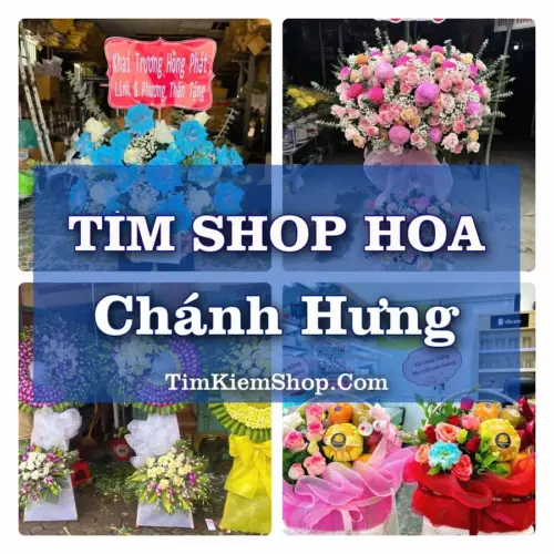 Tìm Shop Hoa Tươi Tại Phường Chánh Hưng TP.HCM