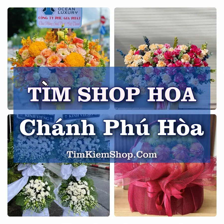 Tìm Shop Hoa Tươi Tại Phường Chánh Phú Hòa TP.HCM