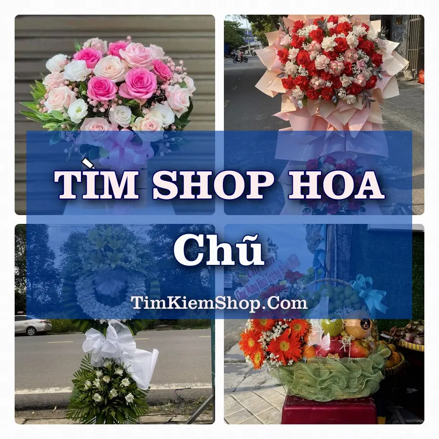 Tìm Shop Hoa Tươi Tại Phường Chũ Bắc Ninh