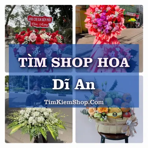 Tìm Shop Hoa Tươi Tại Phường Dĩ An TP.HCM