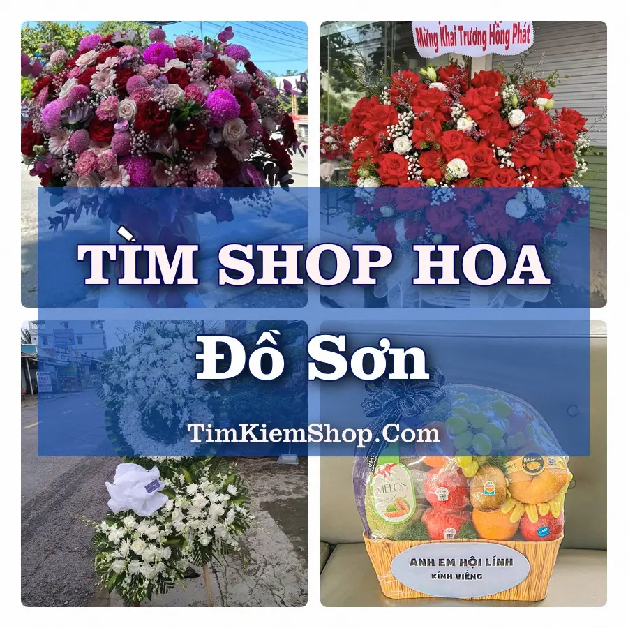 Tìm Shop Hoa Tươi Tại Phường Đồ Sơn Hải Phòng