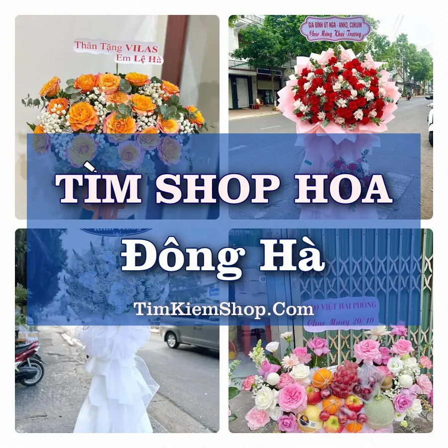 Tìm Shop Hoa Tươi Tại Phường Đông Hà Quảng Trị