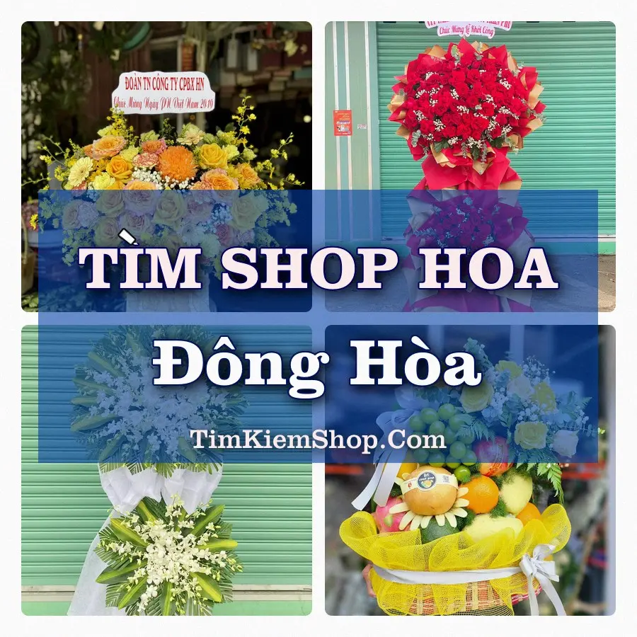 Tìm Shop Hoa Tươi Tại Phường Đông Hòa Đắk Lắk