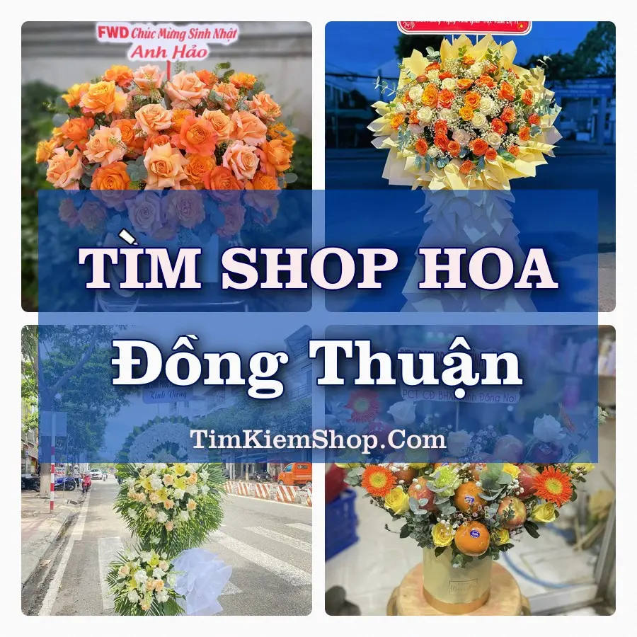 Tìm Shop Hoa Tươi Tại Phường Đồng Thuận Quảng Trị