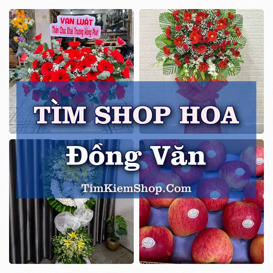 Tìm Shop Hoa Tươi Tại Phường Đồng Văn Ninh Bình