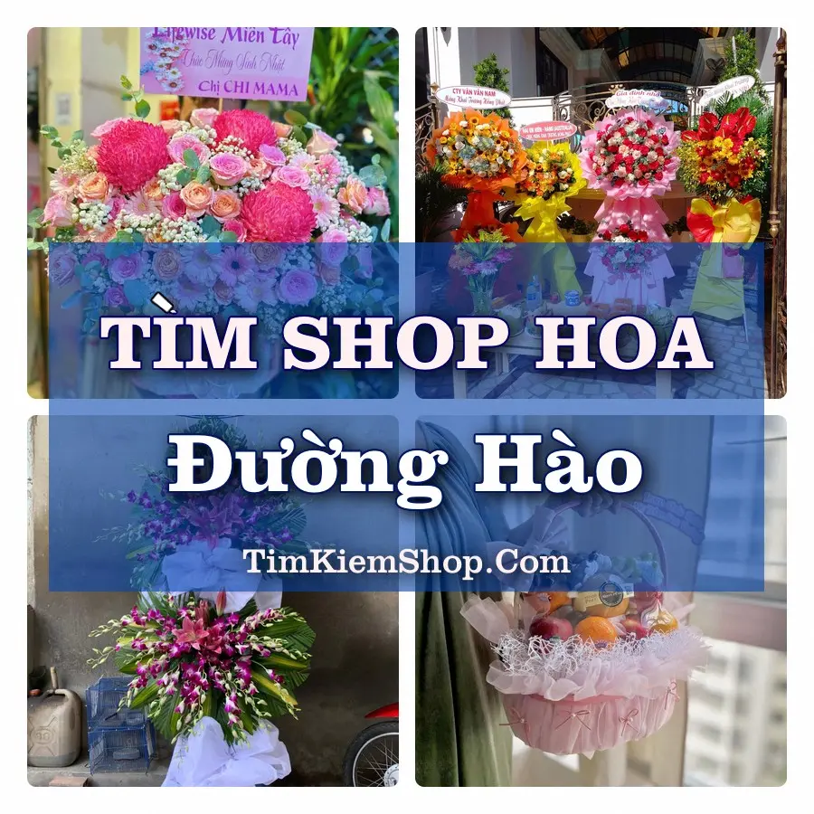 Tìm Shop Hoa Tươi Tại Phường Đường Hào Hưng Yên