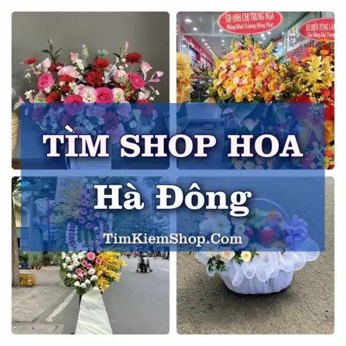 Tìm Shop Hoa Tươi Tại Phường Hà Đông Hà Nội