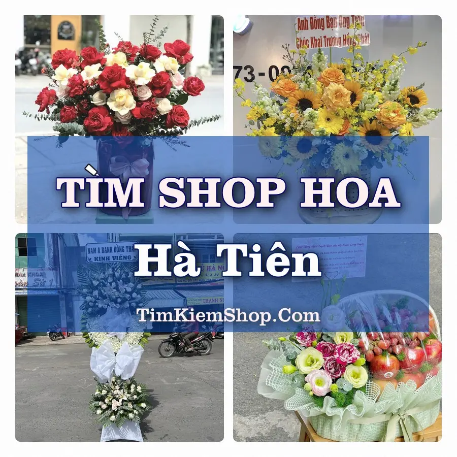 Tìm Shop Hoa Tươi Tại Phường Hà Tiên An Giang