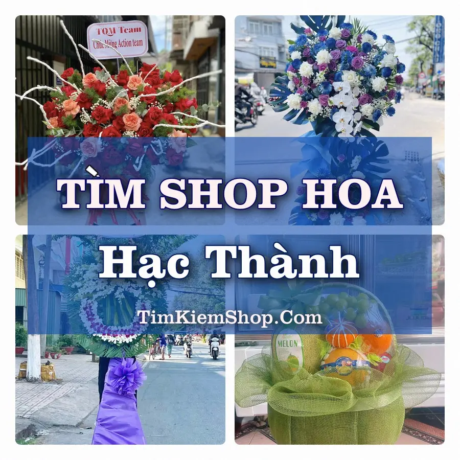 Tìm Shop Hoa Tươi Tại Phường Hạc Thành Thanh Hóa