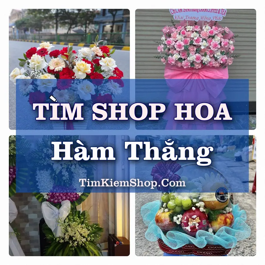 Tìm Shop Hoa Tươi Tại Phường Hàm Thắng Lâm Đồng