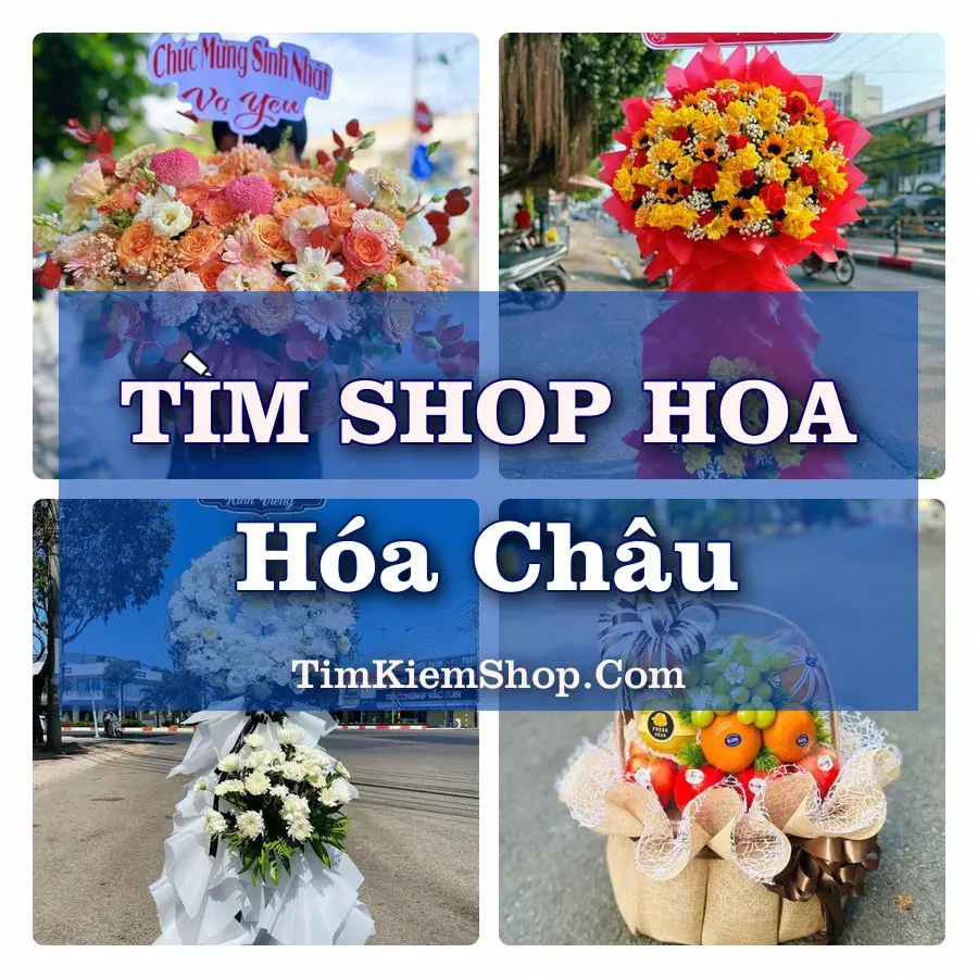 Tìm Shop Hoa Tươi Tại Phường Hóa Châu Huế
